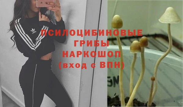 ALPHA PVP Новодвинск