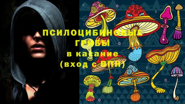 ALPHA PVP Новодвинск