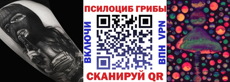 Купить  Ковдор  Псилоцибиновые грибы MAGIC MUSHROOMS 