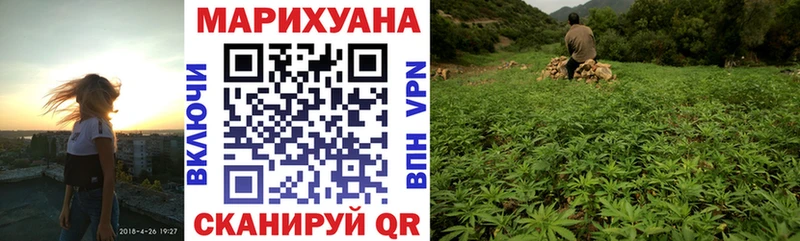 Купить  Ковдор  Бошки Шишки гибрид 